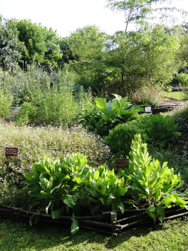 labyrinthe botanique