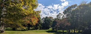 Starting Our Pennsylvania Homestead: How Laven Thymes Began